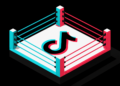TikTok Boxing and the Death of Media Categories